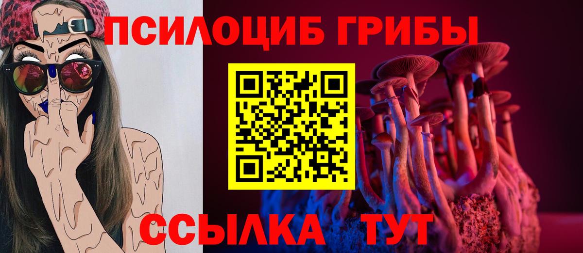 Галлюциногенные грибы GOLDEN TEACHER Коркино